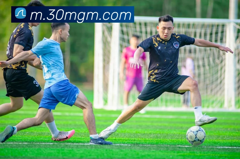 美高梅mgmAPP 封面图